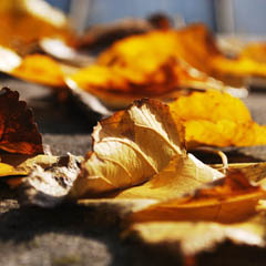 cc攻击免费网页版